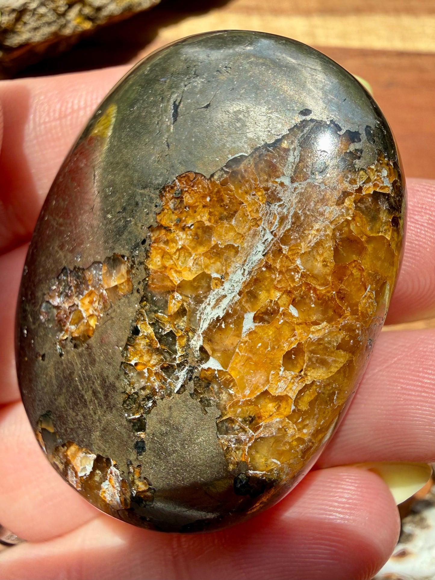PYRITE + GOLDEN HEALER PALM STONE