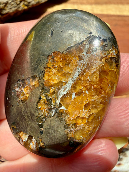 PYRITE + GOLDEN HEALER PALM STONE