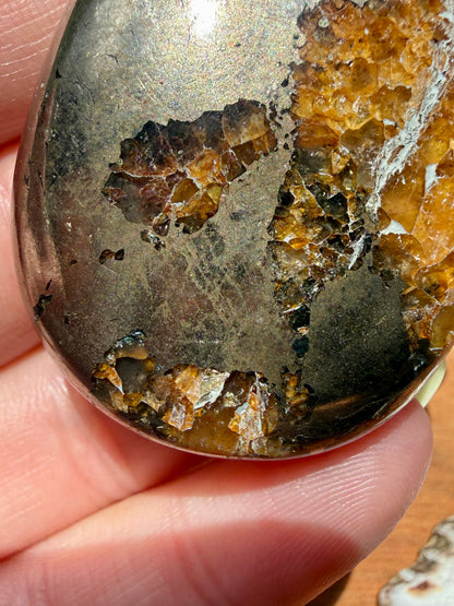 PYRITE + GOLDEN HEALER PALM STONE