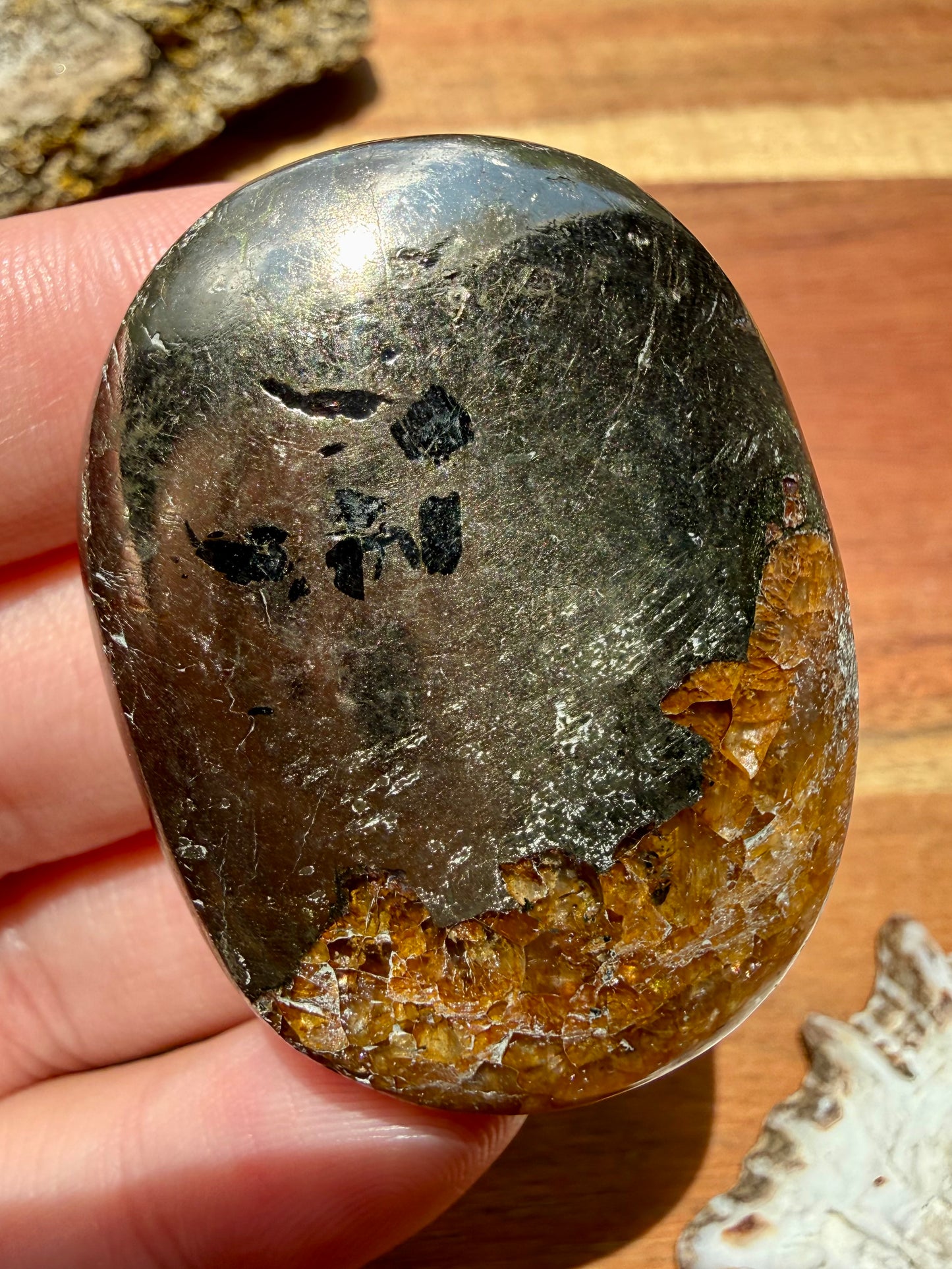 PYRITE + GOLDEN HEALER PALM STONE