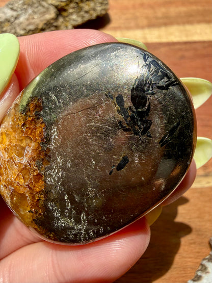 PYRITE + GOLDEN HEALER PALM STONE