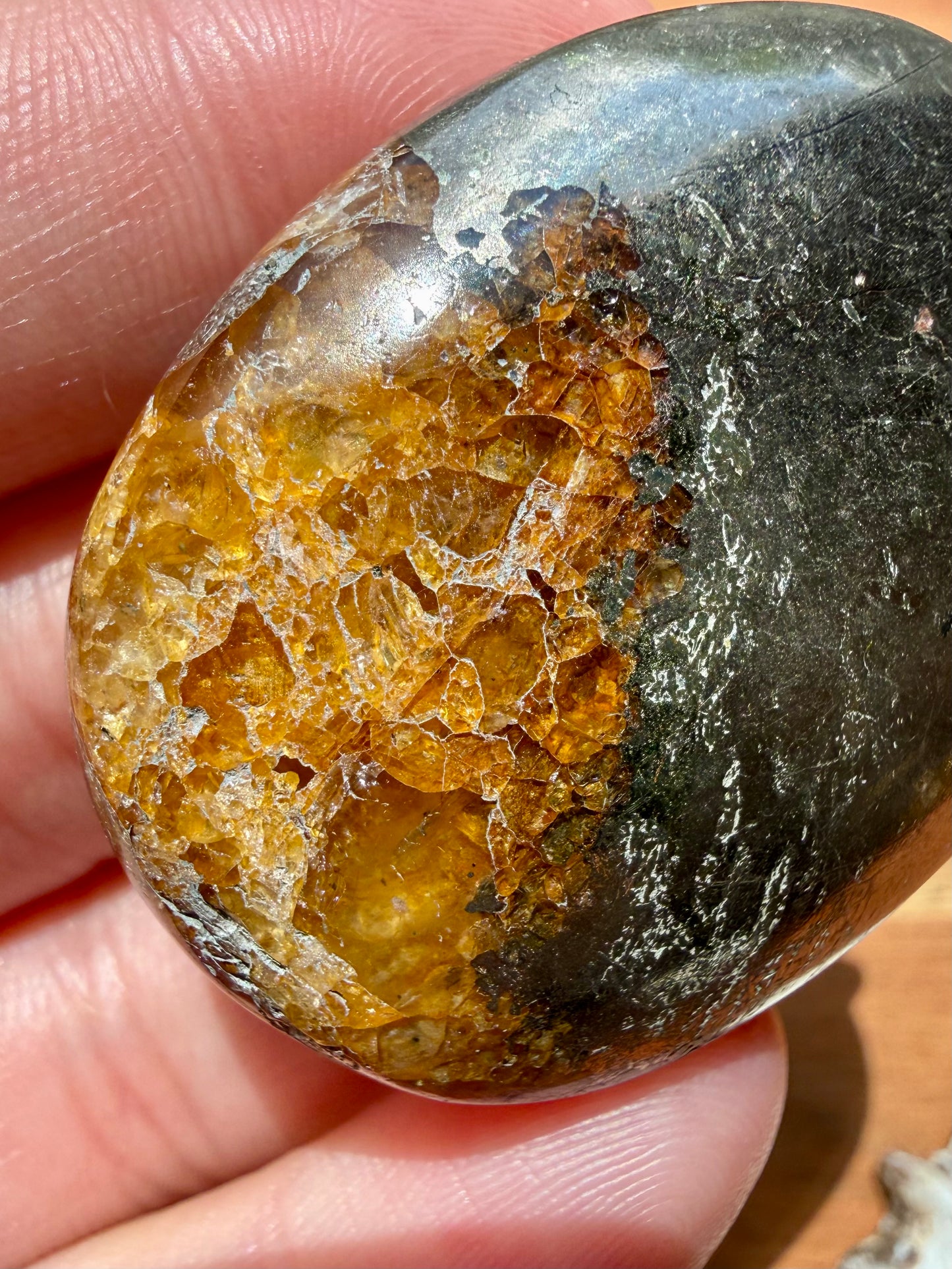 PYRITE + GOLDEN HEALER PALM STONE