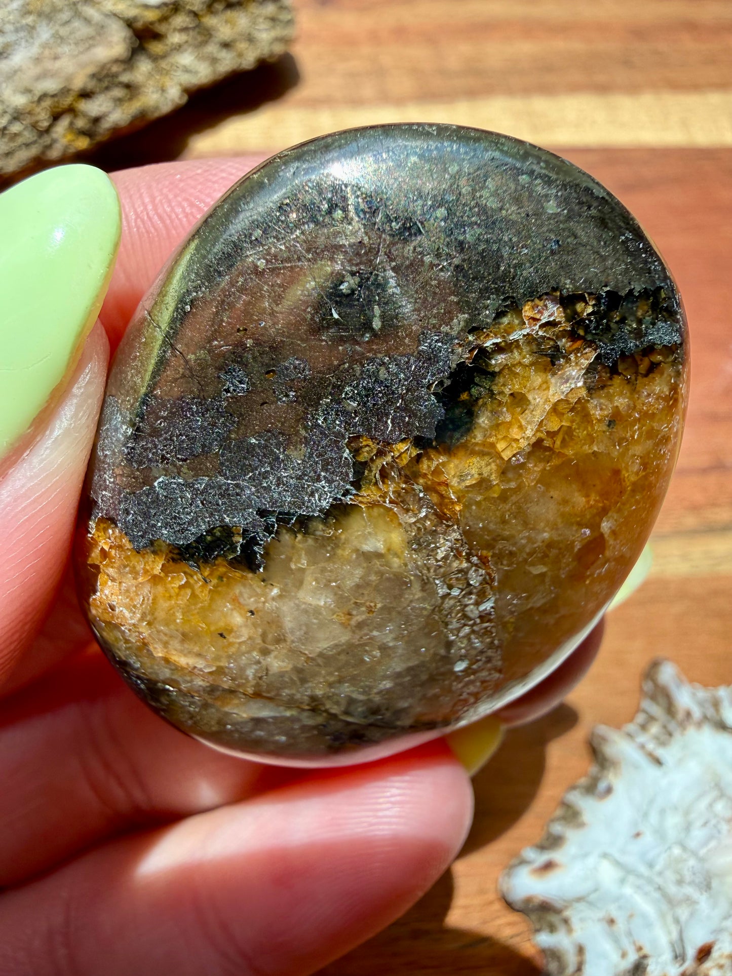 PYRITE + GOLDEN HEALER PALM STONE