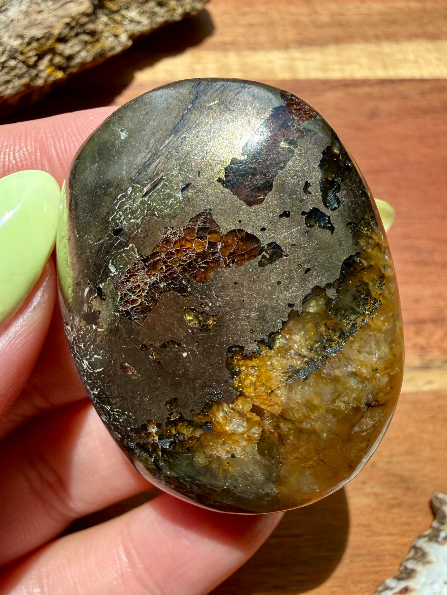 PYRITE + GOLDEN HEALER PALM STONE