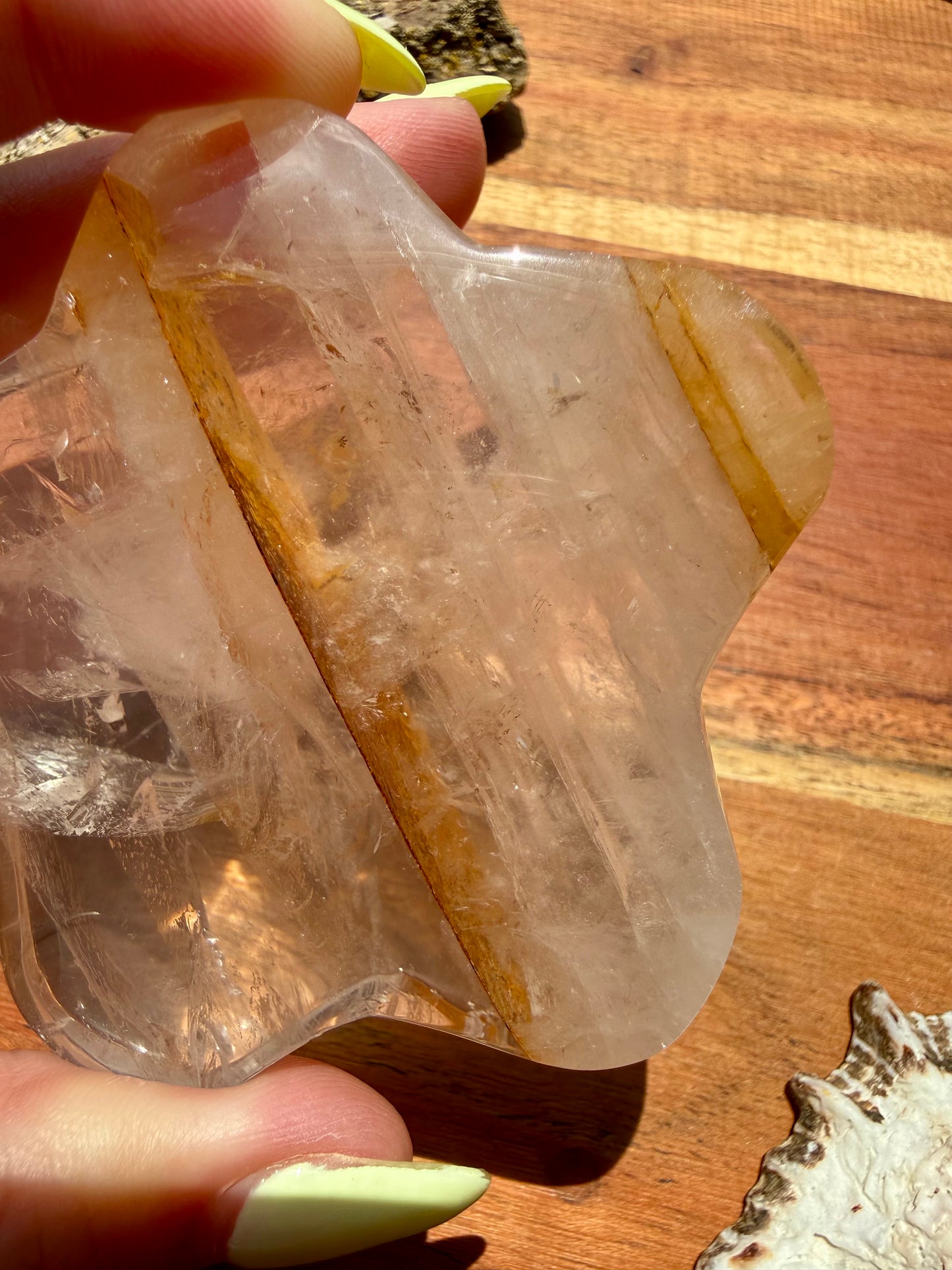 GOLDEN HEALER PUFFY STAR