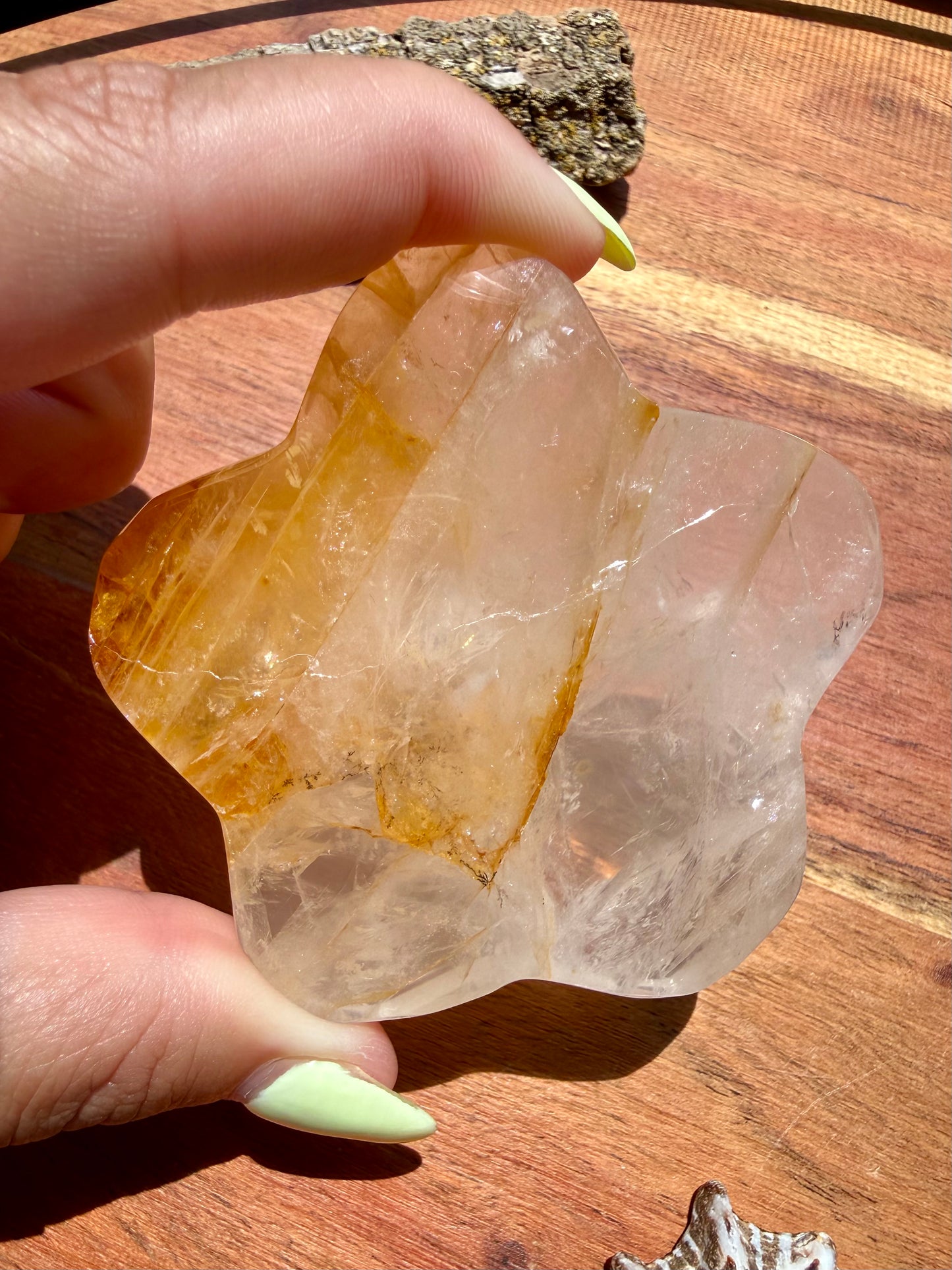 GOLDEN HEALER PUFFY STAR