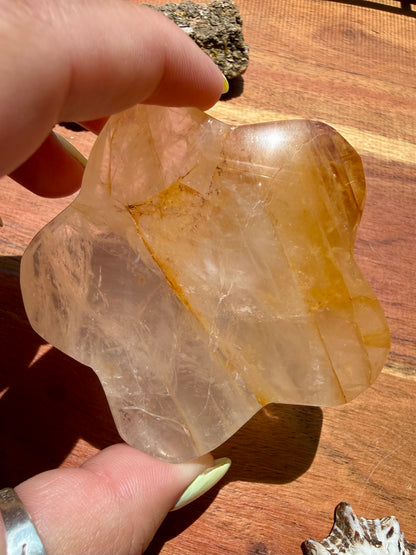 GOLDEN HEALER PUFFY STAR