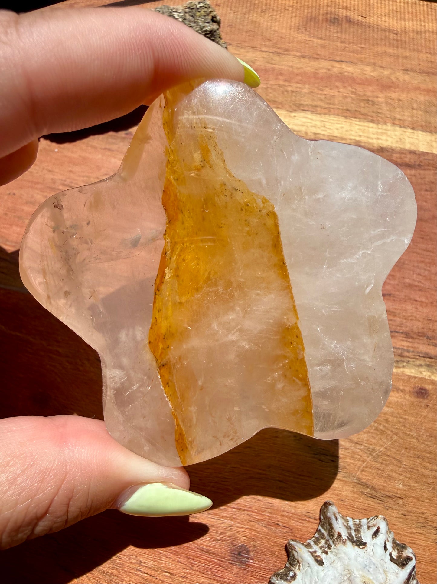 GOLDEN HEALER PUFFY STAR