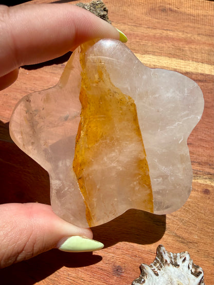 GOLDEN HEALER PUFFY STAR