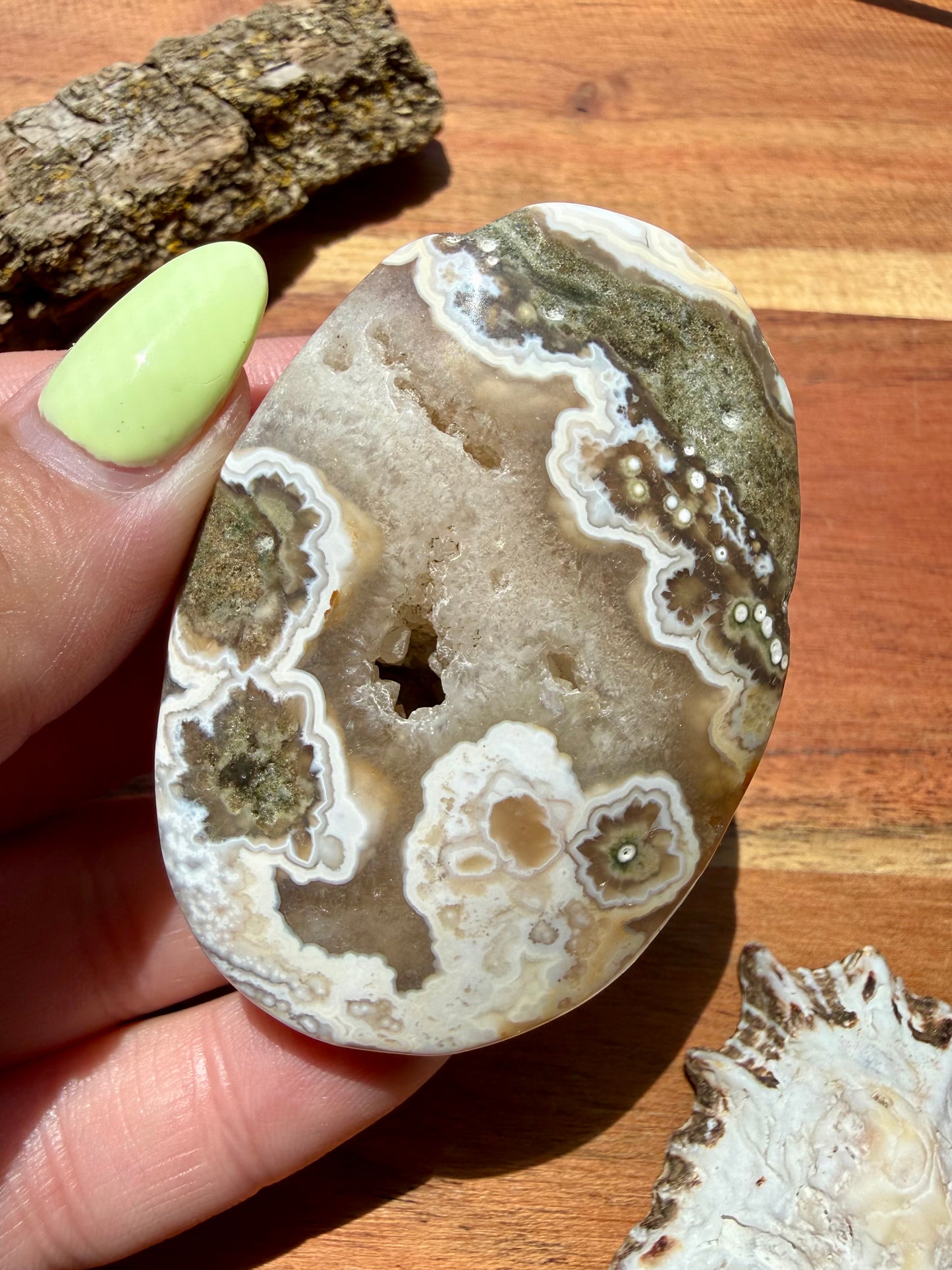 OLD STOCK OCEAN JASPER PALM STONE