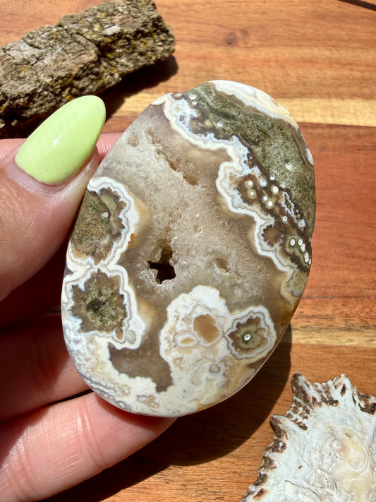 OLD STOCK OCEAN JASPER PALM STONE