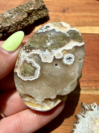 OLD STOCK OCEAN JASPER PALM STONE