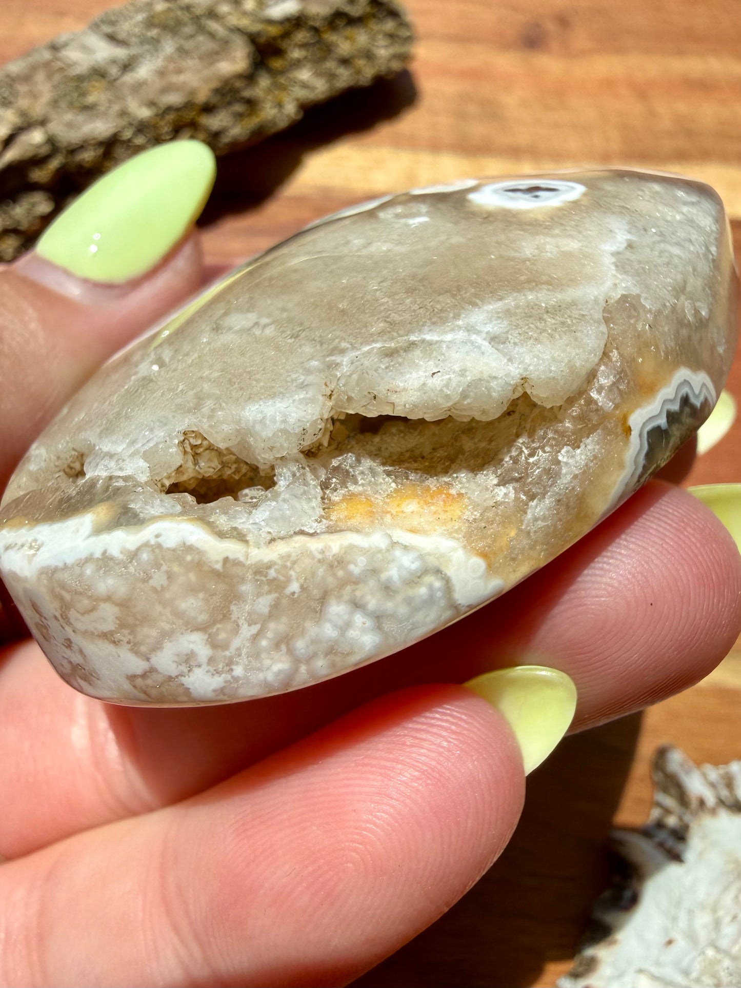 OLD STOCK OCEAN JASPER PALM STONE