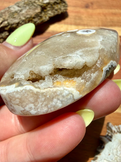 OLD STOCK OCEAN JASPER PALM STONE