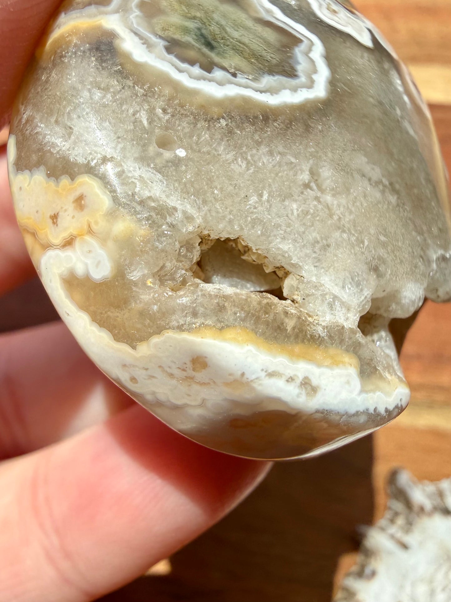 OLD STOCK OCEAN JASPER PALM STONE