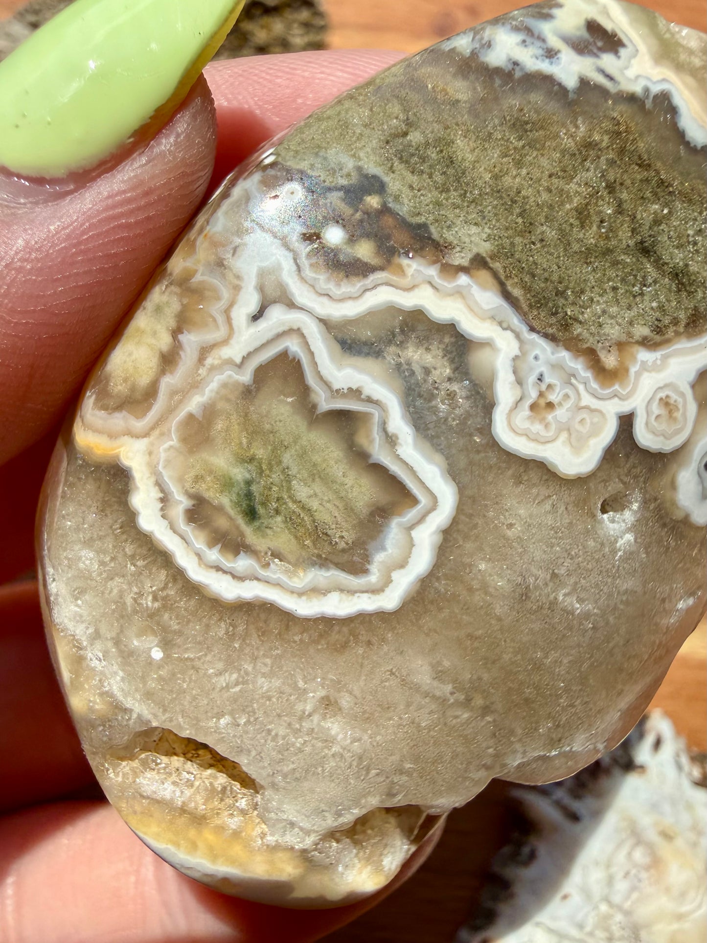 OLD STOCK OCEAN JASPER PALM STONE