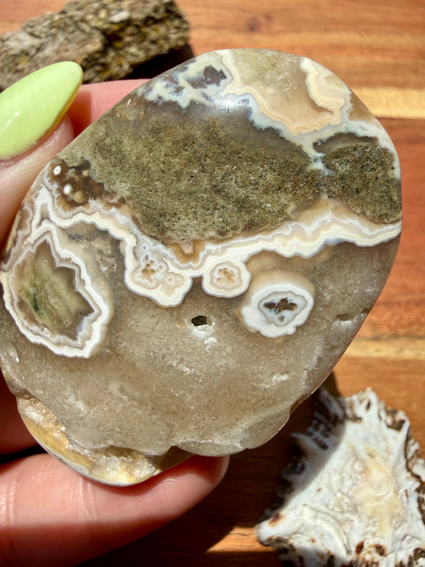OLD STOCK OCEAN JASPER PALM STONE