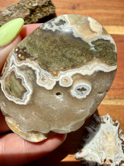 OLD STOCK OCEAN JASPER PALM STONE
