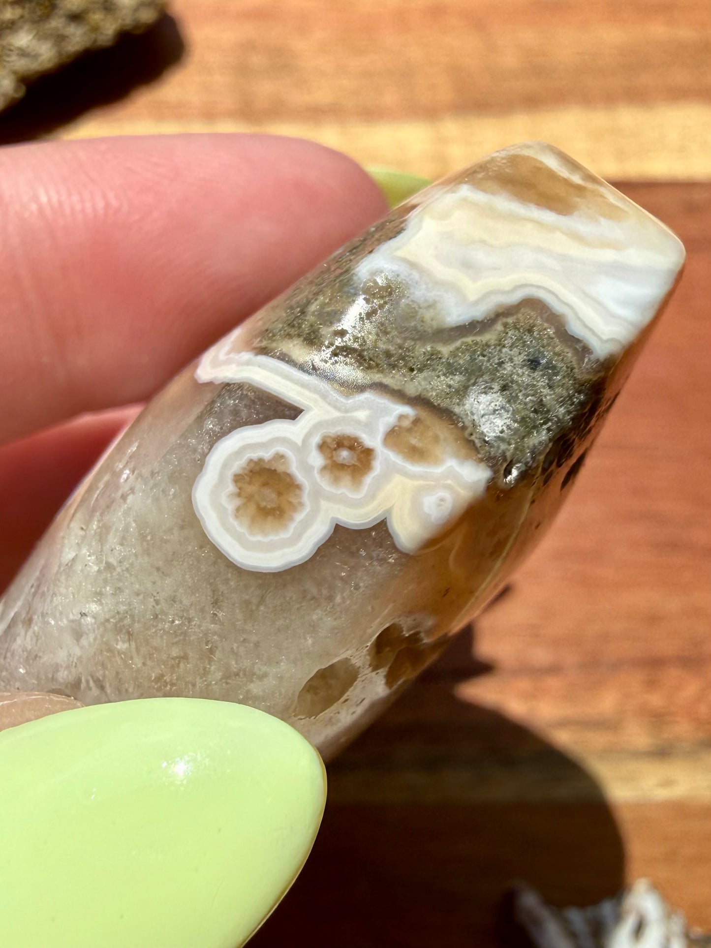 OLD STOCK OCEAN JASPER PALM STONE