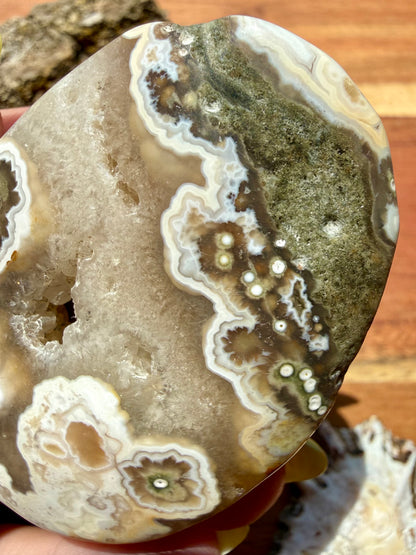 OLD STOCK OCEAN JASPER PALM STONE