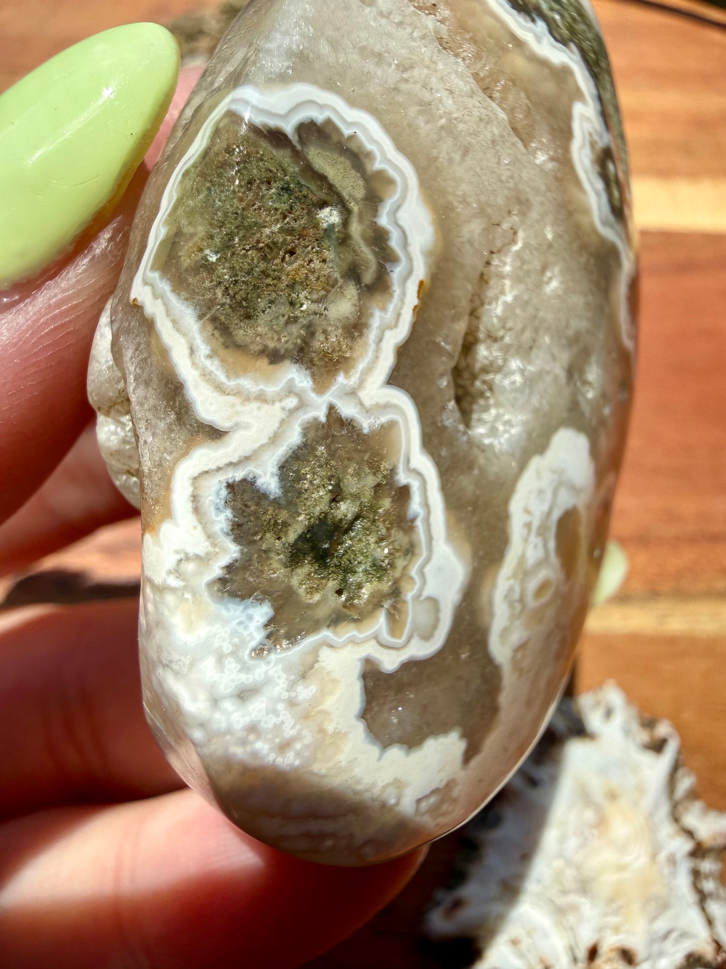 OLD STOCK OCEAN JASPER PALM STONE
