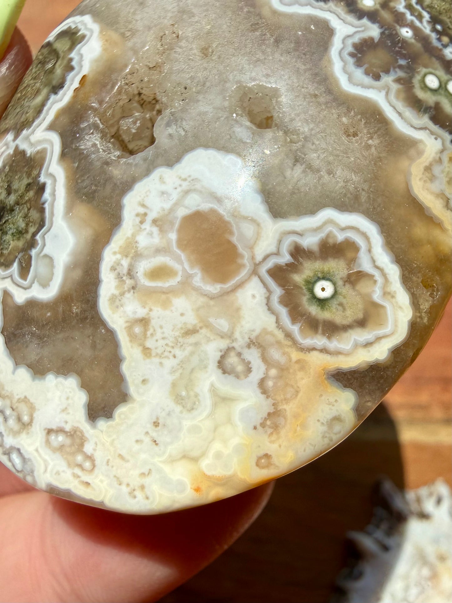 OLD STOCK OCEAN JASPER PALM STONE