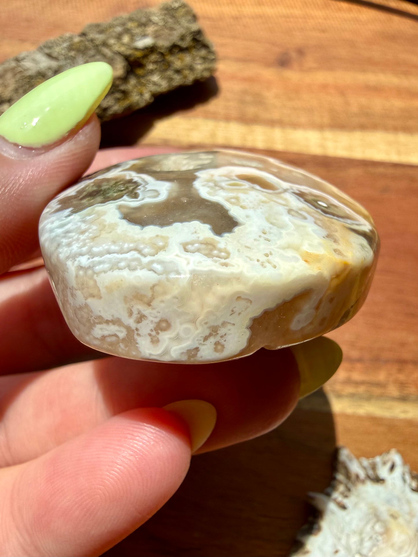 OLD STOCK OCEAN JASPER PALM STONE