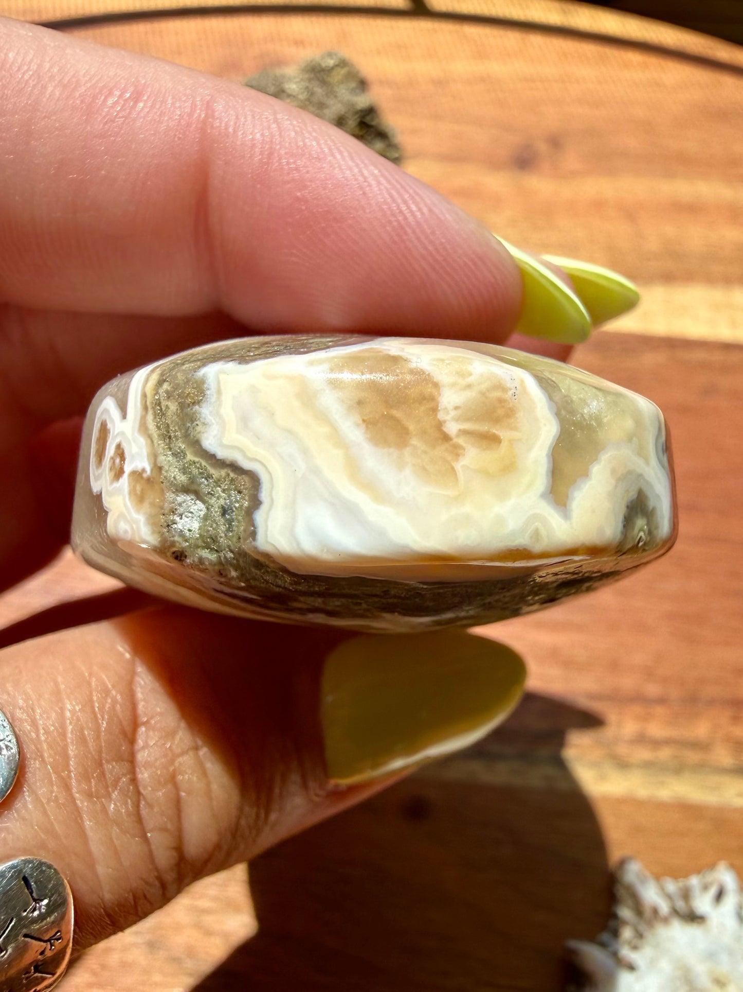 OLD STOCK OCEAN JASPER PALM STONE