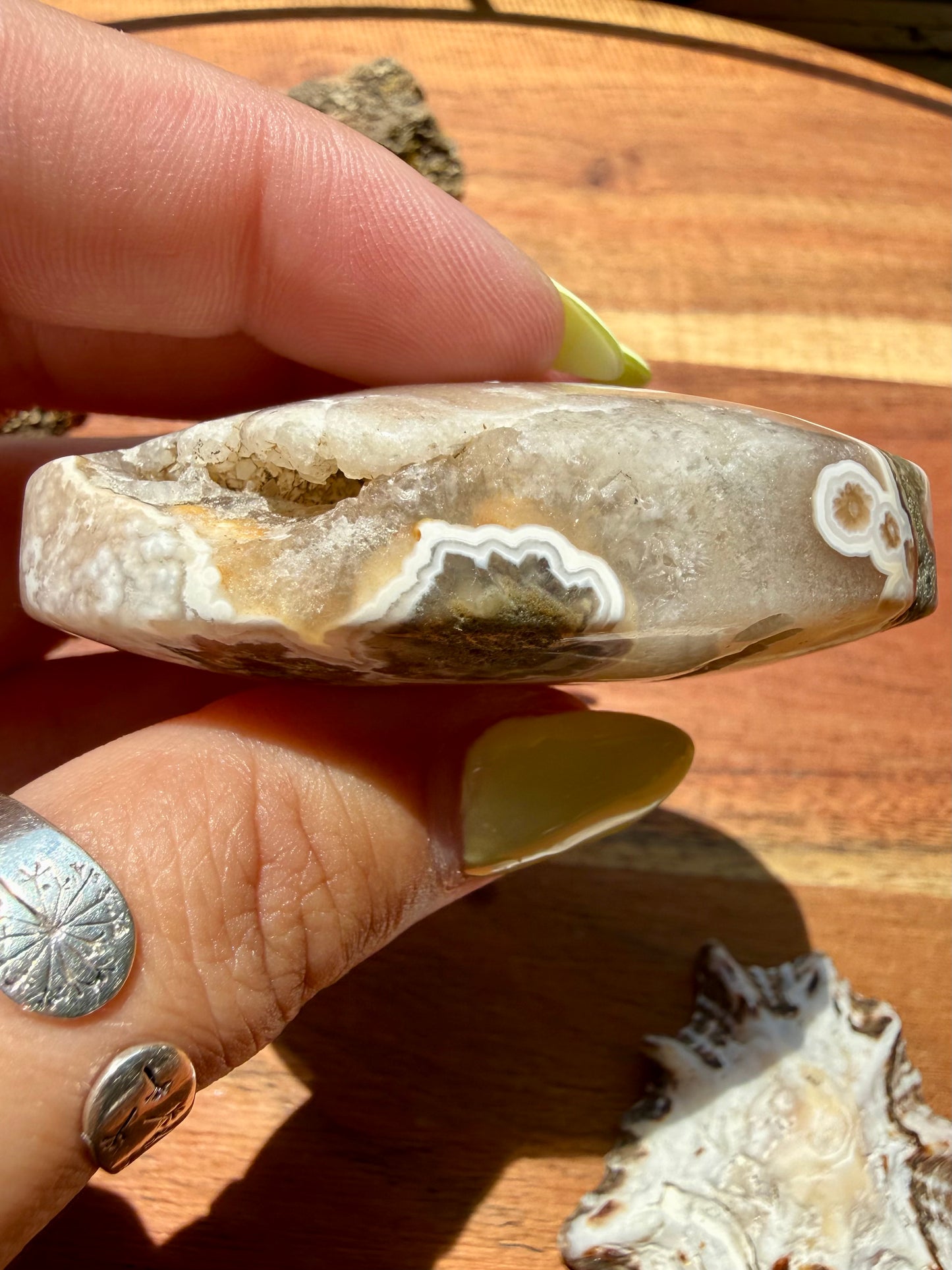 OLD STOCK OCEAN JASPER PALM STONE