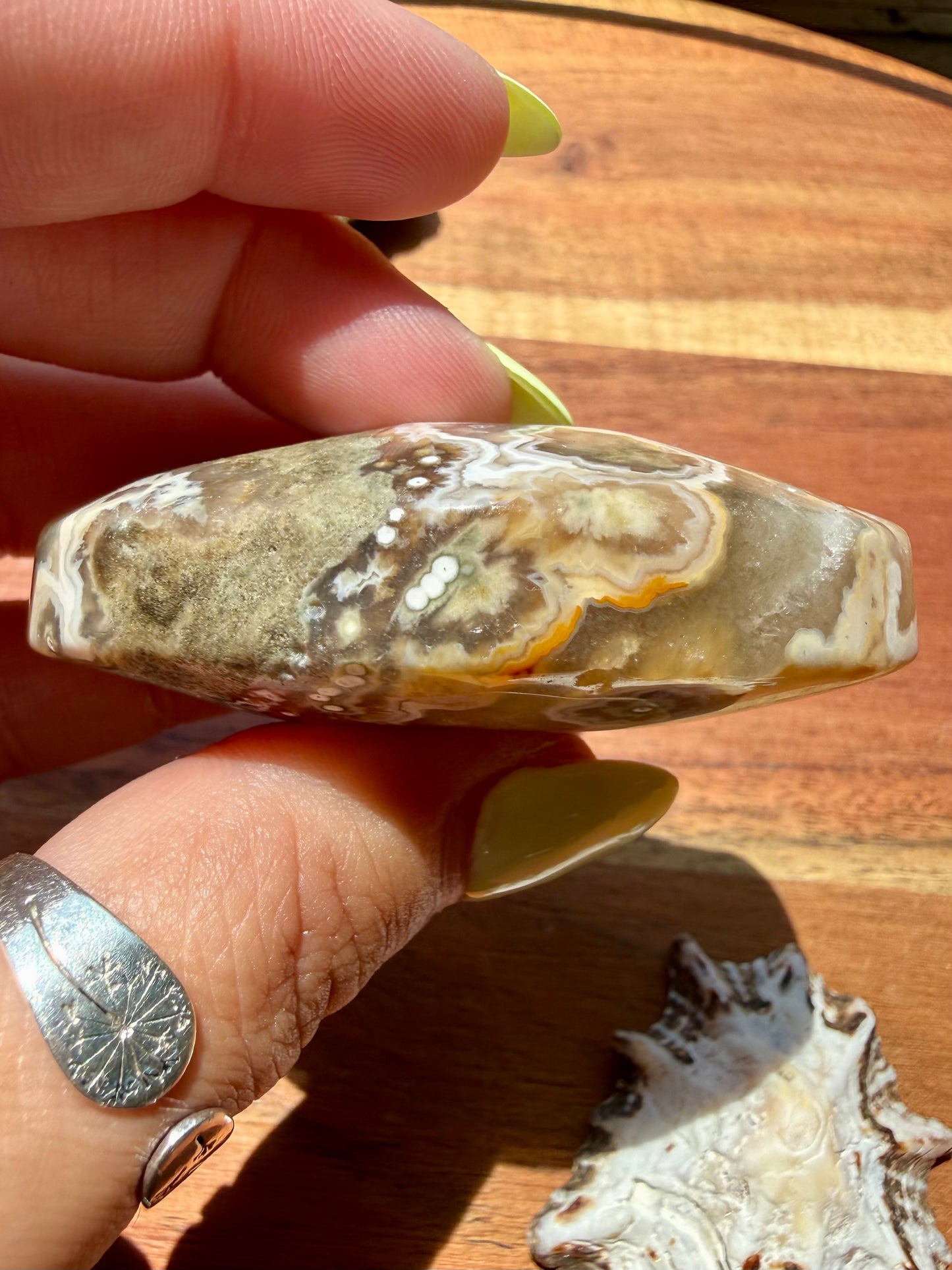 OLD STOCK OCEAN JASPER PALM STONE