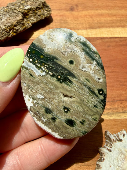 OLD STOCK OCEAN JASPER PALM STONE