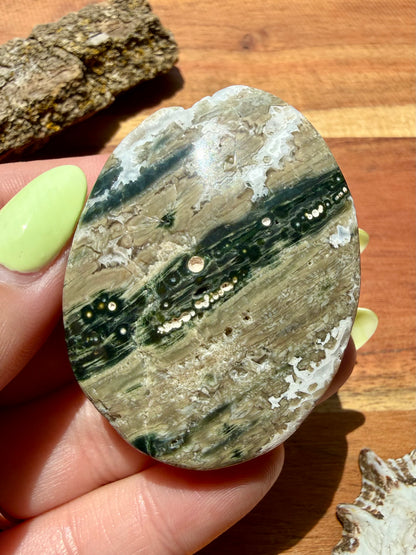 OLD STOCK OCEAN JASPER PALM STONE