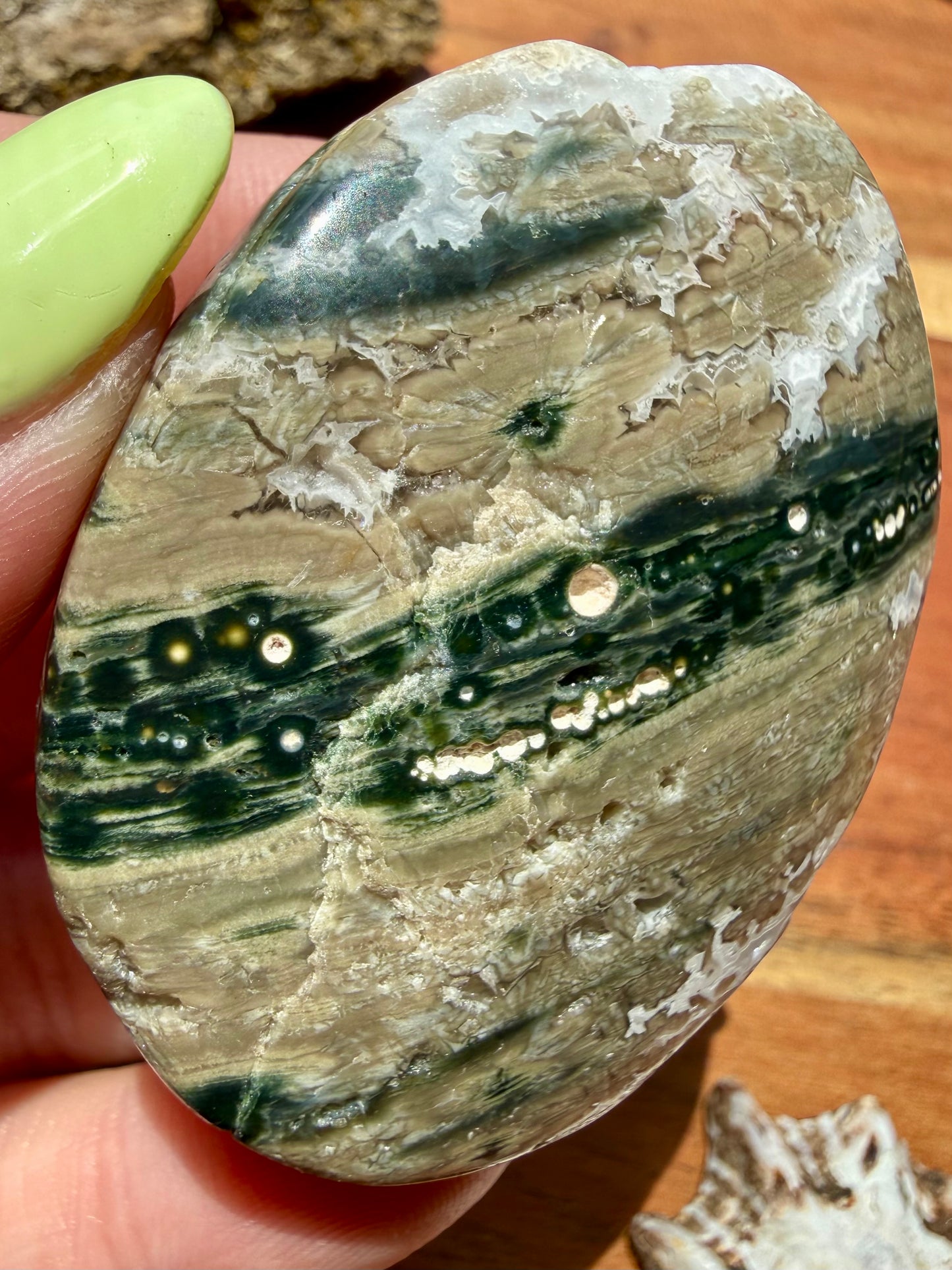OLD STOCK OCEAN JASPER PALM STONE