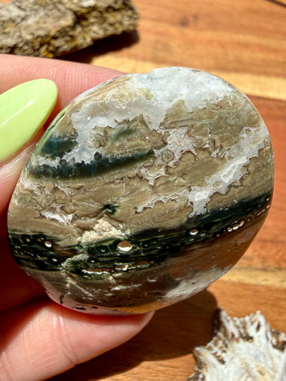 OLD STOCK OCEAN JASPER PALM STONE