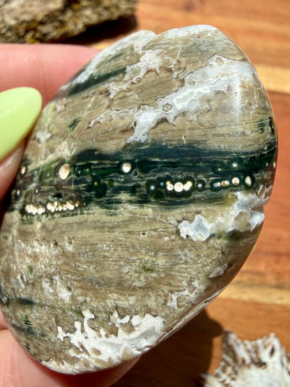 OLD STOCK OCEAN JASPER PALM STONE