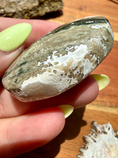 OLD STOCK OCEAN JASPER PALM STONE