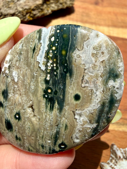 OLD STOCK OCEAN JASPER PALM STONE