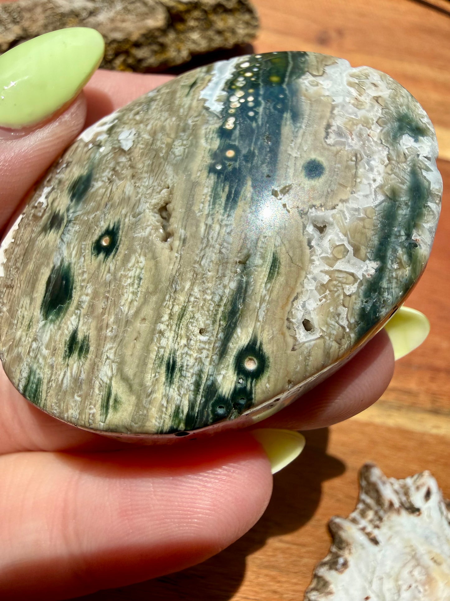 OLD STOCK OCEAN JASPER PALM STONE