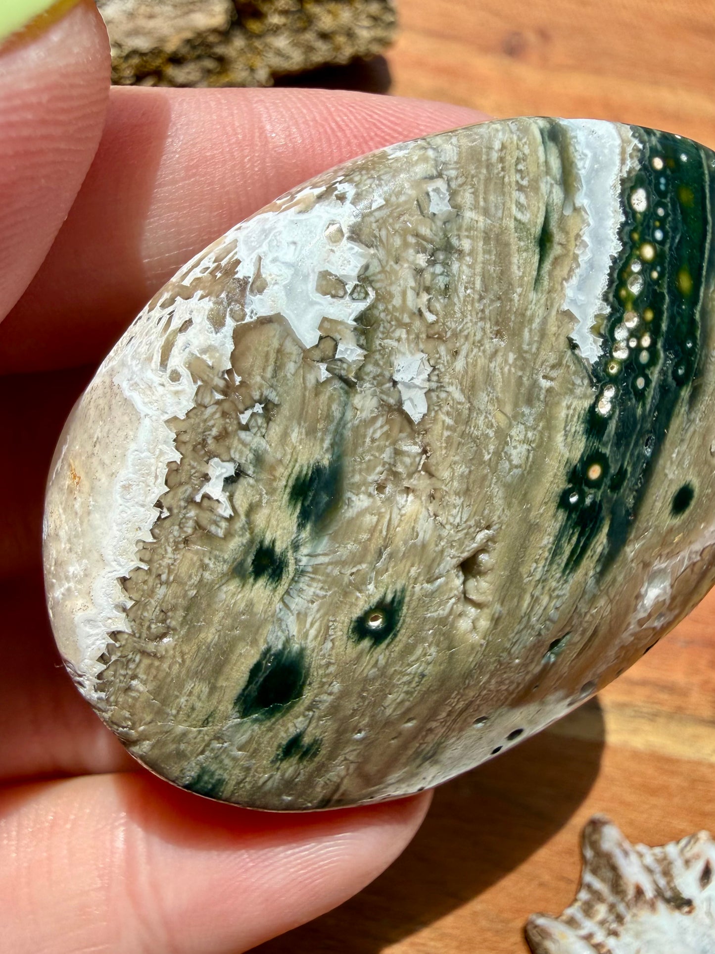OLD STOCK OCEAN JASPER PALM STONE