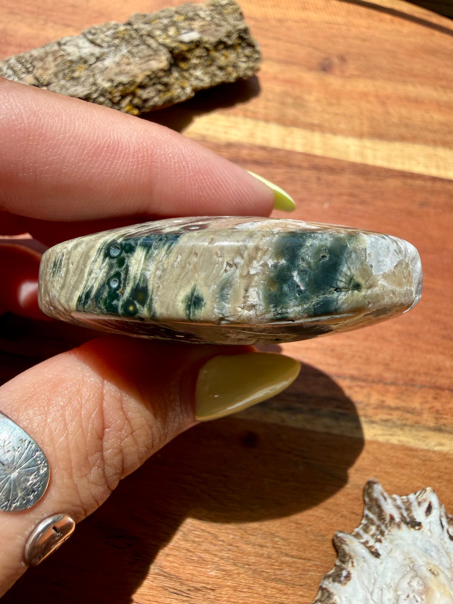 OLD STOCK OCEAN JASPER PALM STONE