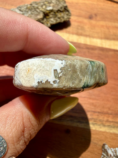 OLD STOCK OCEAN JASPER PALM STONE