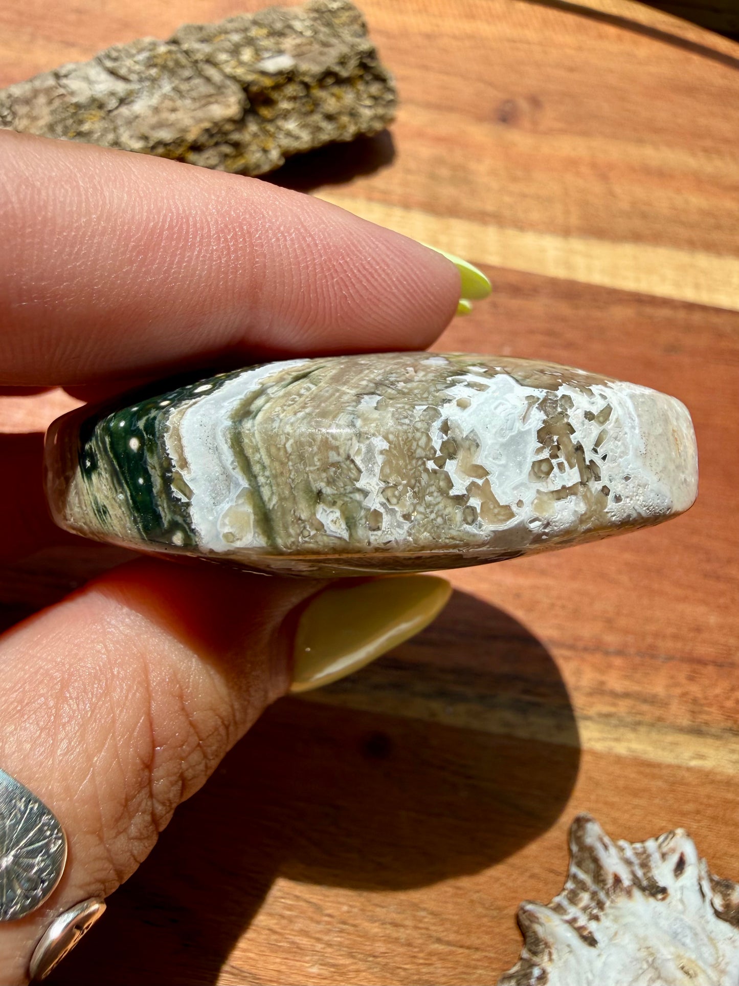 OLD STOCK OCEAN JASPER PALM STONE