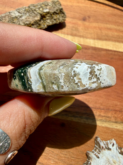 OLD STOCK OCEAN JASPER PALM STONE