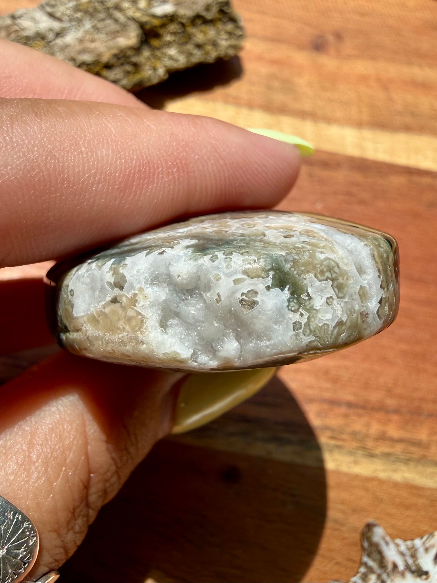 OLD STOCK OCEAN JASPER PALM STONE