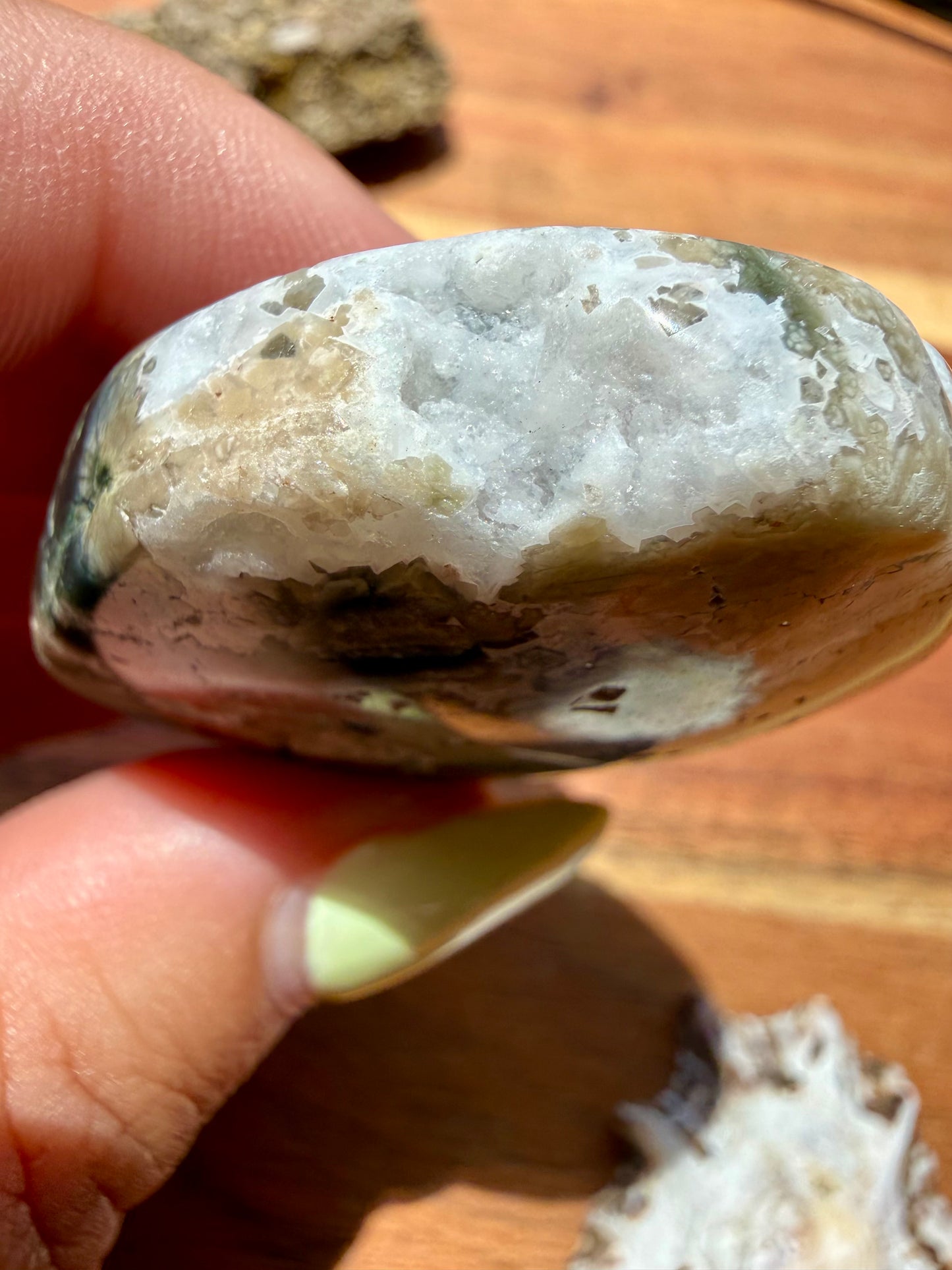 OLD STOCK OCEAN JASPER PALM STONE