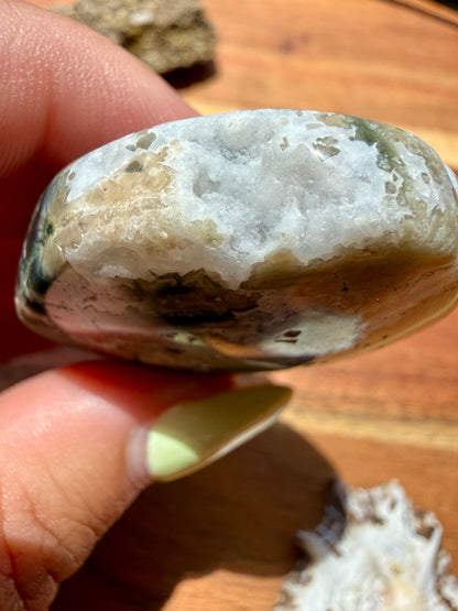 OLD STOCK OCEAN JASPER PALM STONE