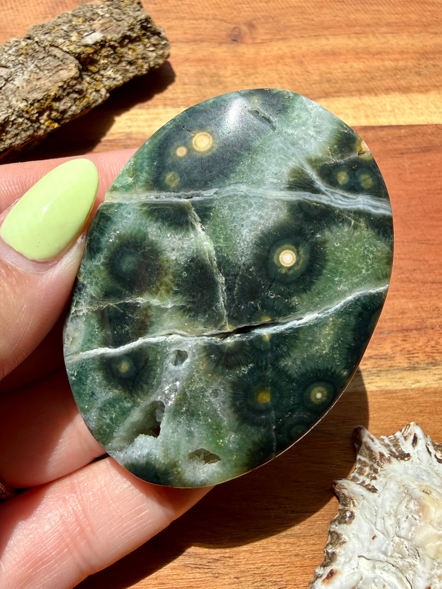 OLD STOCK OCEAN JASPER PALM STONE