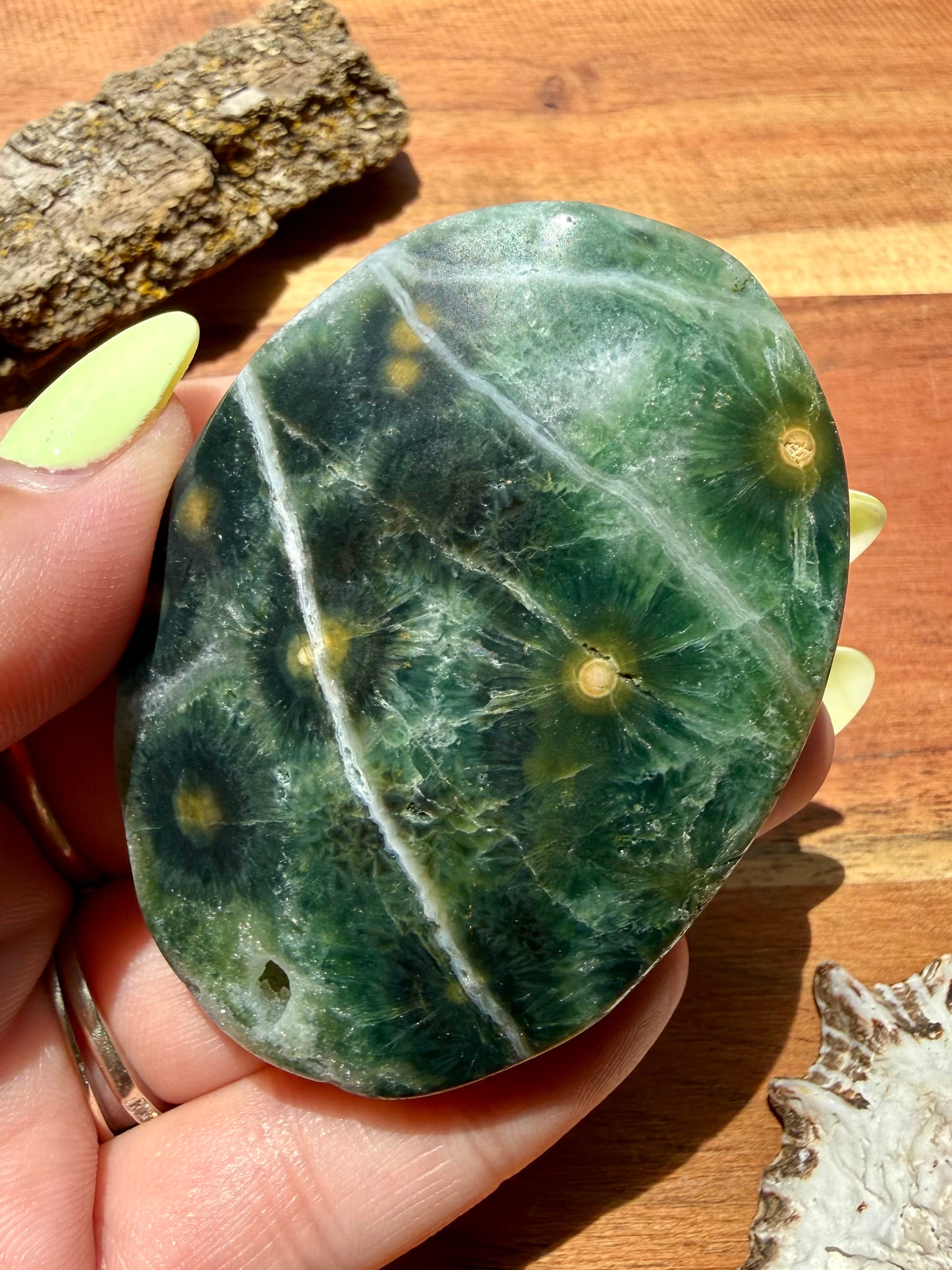OLD STOCK OCEAN JASPER PALM STONE