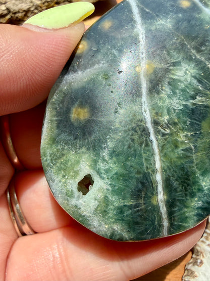 OLD STOCK OCEAN JASPER PALM STONE