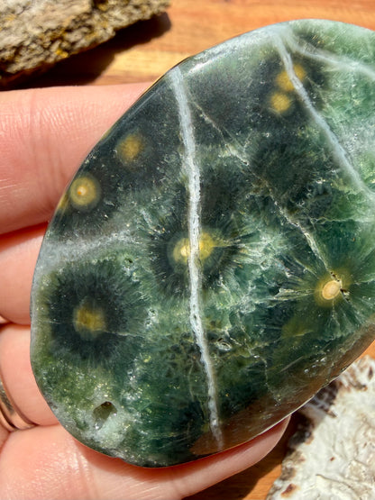 OLD STOCK OCEAN JASPER PALM STONE